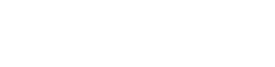 Paradox Magazine Logo Light