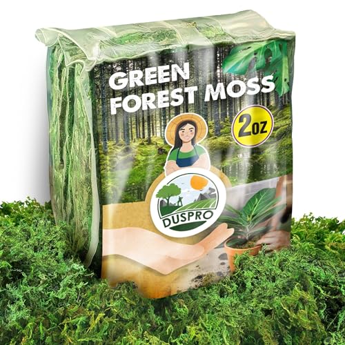 Duspro Green Moss for Crafts Decorative Moss Filler for Planters Moss Decor Artificial Table Centerpieces Wedding Christmas Fairy Party Decor, Faux Moss for Indoor Planters, D